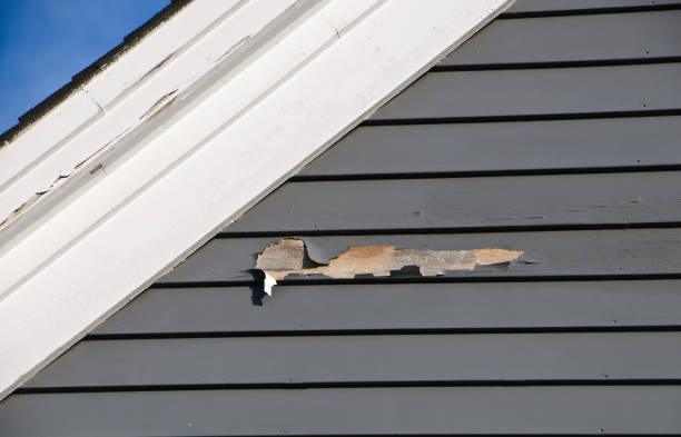 Best Residential Vinyl Siding Installation  in Marble Falls, TX